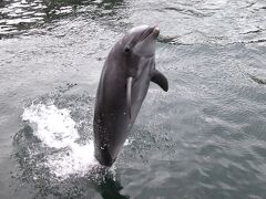 いおワールドかごしま水族館