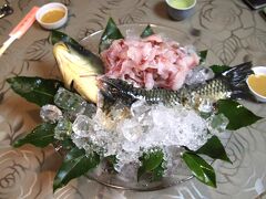 川魚料理一もりで鰻定食と鯉のあらいを食べてホテル京セラに戻って縄文博物館見学