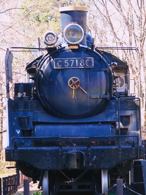 東京都立小金井公園-2 蒸気機関車C57型保存展示 ☆花と光の