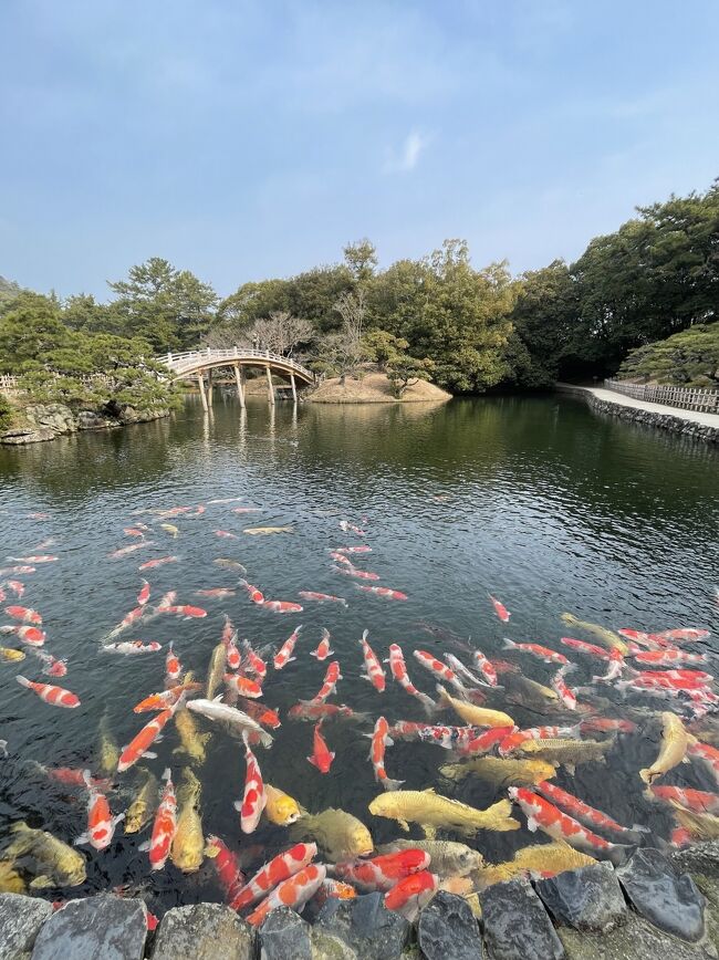 冬は南へ夏は北へ旅行することが多いです。<br />2024年の冬、初めて香川県に行ってきました。<br />高松市内、小豆島、金刀毘羅宮を巡る2泊3日ひとり旅。<br /><br />最終日は栗林公園見学後、琴平へ移動し金毘羅宮参りの後、帰宅します。<br />午前栗林公園、午後金毘羅宮は時間的にも体力的にも少々ハードで、もう少し時間をとった方が良かったなと思いました。