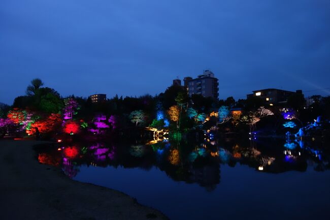 京都訪問2023⑦(京都駅近くの桜の名所、渉成園を日夜訪問：京都市内・源光庵、渉成園、東本願寺）