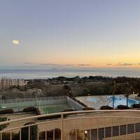 2024年冬：暖かい冬の伊豆高原、エクシブ宿泊記