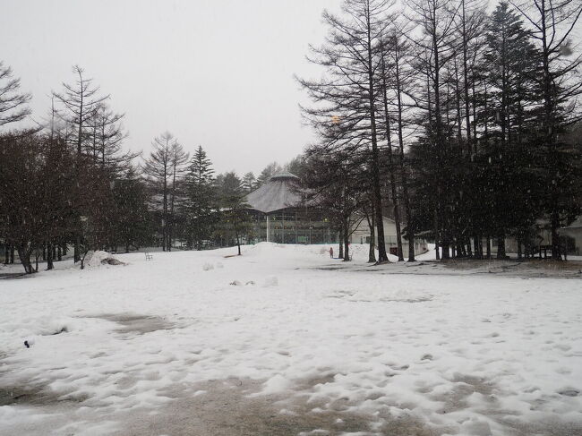 春休みのお出かけは今年も温泉へ。<br />今回は草津温泉へ行きました。<br /><br />私としては、とにかく温泉に入ってのんびり過ごせれば大満足なのですが、それだと王子（我が家の1人息子。4月から6年生です）がつまらないかな？と思い、子供も楽しめそうなホテルを検索したところ、温水プールあり、ボーリングありの楽しそうな所を見つけたのでそちらに1泊してきました。<br /><br />滞在中は、雪が降ったり雨が降ったりの残念な天気だったので、楽しみにしていた湯畑周辺の散策を断念。<br />でも、その分ホテル（草津温泉ホテルビレッジ）内で楽しく過ごせたのでよかったです。