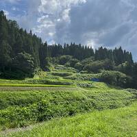 美味しいものを食べる旅