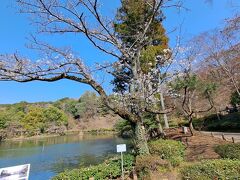 薬師池公園