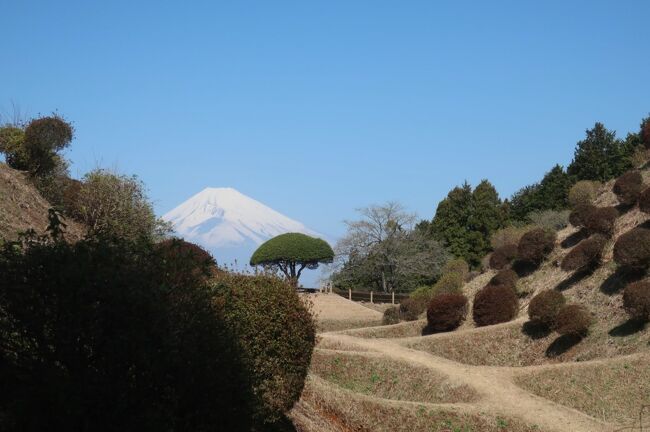 18きっぷと東海バス・みしまるきっぷで三島観光～山中城跡、隆泉苑、柿田川湧水公園