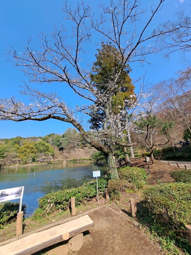 天気が良かったので西山美術館～レストランラシェット～薬師池公園と出掛けました