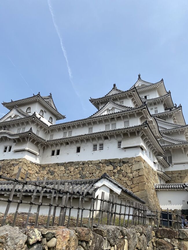 姫路城に観光バスで行きました。<br />例年でしたら満開の桜を見られたのですが、今年は寒の戻りがあり、開花したのが2日前でした。<br />
