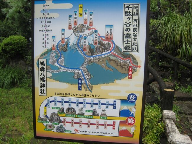 鳩森八幡神社で、富士山登山、池袋でタイ料理を楽しみました！