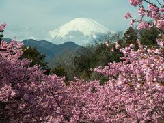 富士山の眺望