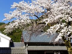 桜の鯖街道・若狭熊川宿