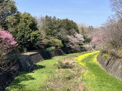 昭和記念公園　2024年春の訪れ