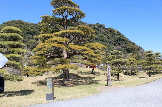 暖かくなった3月。親子3世代で鹿児島へでかけました。<br />今回の目的は美味しいものを食べること。<br />たくさん食べて鹿児島の自然の恵みを満喫しました。<br /><br />１日目<br />黒毛和牛のばくろ鹿児島本店<br />仙厳園茶寮（白熊、抹茶）<br />平田屋（両棒餅）<br />末よし（うなぎ）<br />焼鳥せんみょう