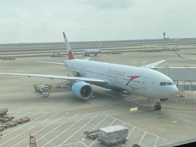 3月18日（月）<br />上海浦東国際空港からオーストリア航空（OS76便）を利用しウィーンへ。この区間はビジネスクラスを利用したが、今回利用した6フライトの中で、食事やサービスなどは一番良かった。
