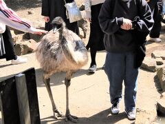 伊豆シャボテン動物公園