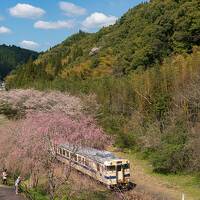 2024.3 先生と行く鹿児島、宮崎　西都原古墳群ツアー