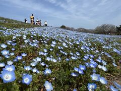 ひたちなか海浜鉄道