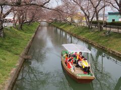 お殿様のような気分で遊覧船に乗船して優雅に五条川お花見