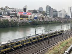 ソメイヨシノが一気に満開になったので、市ヶ谷駅から飯田橋駅までの中央線沿いに外濠公園を歩きました。