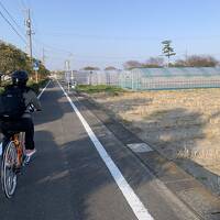 サイクリングがしたくて静岡の御前崎自転車道へ。⑤サイクリングで御前崎灯台から静波海岸へ！