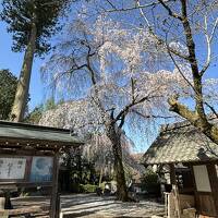 秩父三十四ヶ所札所観音霊場めぐり 4日目（27番大淵寺～30番法雲寺）