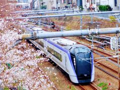 Ｅ　ＡＰＲ　２０２４　　「プチ花見・・・・・①東中野駅近く歩道橋」