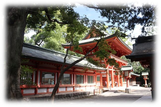 武蔵一宮 氷川神社(#1)