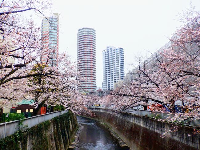 東中野駅近くの歩道橋を後にして、神田上水公園に向かいました。