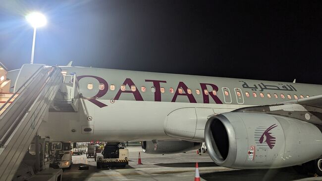 カタール航空でエジプトのカイロからドーハを経由して羽田まで飛びました！<br />今回はそのうちカイロからドーハまでのフライトの様子をご紹介します！