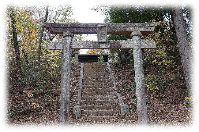 近頃すっかり寒さが増し、からだ中の関節の油が固まって動きが緩慢になり、嫌な時期になってきました。<br />今回取り上げるのは、長袖を着るには暑かった9/20、豊田市大畑町寺ケ洞の白髭神社を訪れました。<br />そちらで白髭神社の前を走る国道155号線の向かいの天神山に、飛地境内社の天満宮があると云う事でグーグル先生に案内してもらいました。<br /><br />先生が案内する場所はとんでもない道を案内し、車を降り歩いて探し回るも結局社頭は見つからず、この日はスルーしました。<br /><br />あれ以降モヤモヤしたものが残りずっと気になり、収まりがつかなくなっていました。<br />紅葉も深まった11/24。<br />寒くなって蛇も出ないだろうと云う事で、海上の森散策のついでに白髭神社飛地境内社天満宮を探しに車を走らせました。<br />前回は9月に訪れた際は矢草町一ノ坪から天神山の北側を進めと云われ失敗しましたが、今回はG先生の導きを無視して天神大畑町前田の押しボタン式歩行者信号で右折し天神山の南側を探しましてみました。