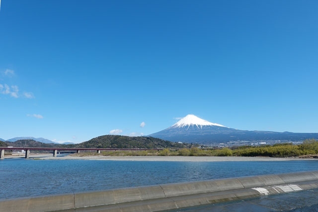 富士市内を、愛車・ジェッターで岩本山公園の桜の開花を確認したりしながら走って来ました。<br /><br />▼自転車のデータ<br />走行距離:19.9km<br />走行時間:約4時間05分(休憩時間・公園内を歩いた時間も含む)<br />バッテリーの消費19%です(上り坂と向かい風以外はアシスト無しで走っています)。<br />自転車は、パナソニック・ジェッターです。<br /><br />★富士市役所のHPです。<br />https://www.city.fuji.shizuoka.jp/<br /><br />★りぷす富士のHPです。<br />https://www.fuji-kousya.jp/park/kaika.html<br /><br />★道の駅富士川楽座のHPです。<br />https://www.fujikawarakuza.co.jp/<br /><br /><br />