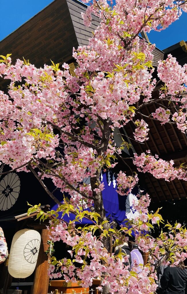 娘の付き合いで<br />東京大神宮に行きがてら新大久保へ。<br /><br />少ない写真ですが<br />最後までお付き合い頂けたら<br />嬉しいです。
