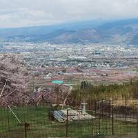 山梨・笛吹・石和　桃の花を求めて、、天気の予測は難しかった