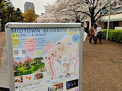 【東京良爺散歩　Tokyo Easy Sampo　冬の港区】東京ミッドタウンの桜をササッと見てきたの巻