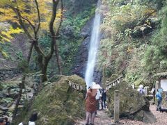 2023年11月岐阜県　美しい紅葉の養老公園と養老の滝