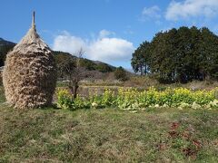 奈良県　當麻寺から風の森神社　山麓バイパスあれこれ