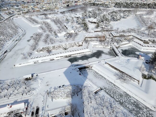 3月、雪の函館。娘と女子旅