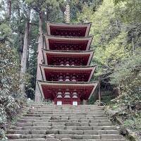 2024年4月吉野山と室生寺②橿原神宮・室生寺