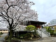 赤羽を街歩き（2/3）満開の桜を愛でながら岩淵宿の3寺院を参拝しました