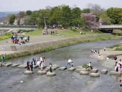 361 桜花見　出町柳から上賀茂神社へ