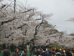 上野恩賜公園