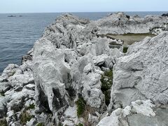 和歌山　グレーの白崎海洋公園～醤油のふるさと湯浅・角長～根來寺（ねごろじ）の桜