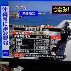 津波警報にぞ～～～～っとした石垣島ホテルから新石垣島空港の混乱へ