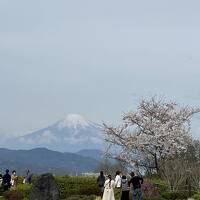 久能山東照宮詣と日本平テラスへ