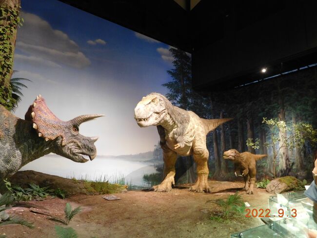 茨城県自然博物館に遊びに行きました。<br />茨城県へ行くなら・・・一言主神社は欠かせません。<br />ご挨拶してから、予約していた自然博物館へ。<br />大きな恐竜やキノコ、たくさんの生き生きとした展示の迫力に息子も大喜び！！<br />子どもから大人まで楽しめる施設だと、改めて感じました。