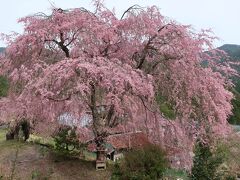 谷瀬の吊り橋