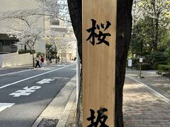 そんなに混んでいない桜スポット　赤坂の桜坂