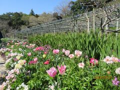 さすが・・花いっぱいの浜松フラワーパーク