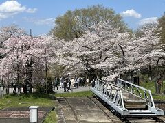 四国出張帰りに京都でお花見(^_^) vol.3 蹴上インクラインお花見編