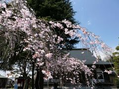 自然・動植物